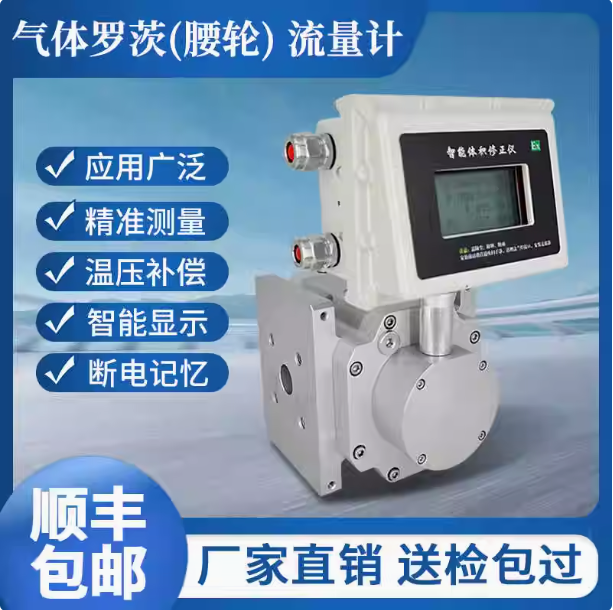 LLQ-32氣體羅茨腰輪流量計...