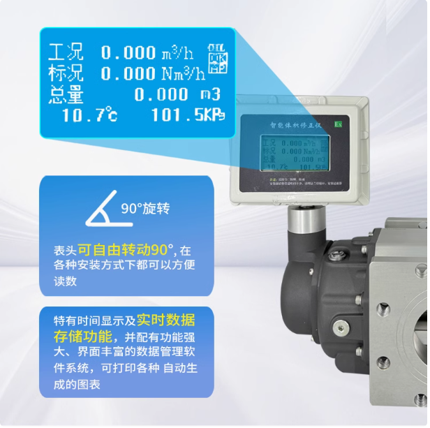 LLQ-100氣體羅茨腰輪流量計(jì)