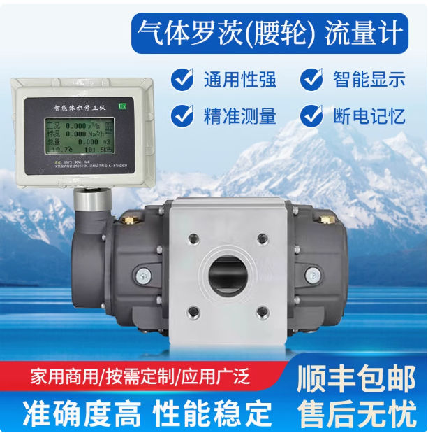 LLQ-200氣體羅茨腰輪流量計